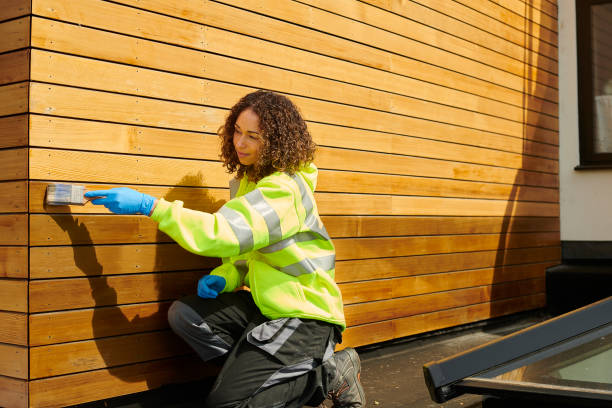 Best Storm Damage Siding Repair  in Weber City, VA